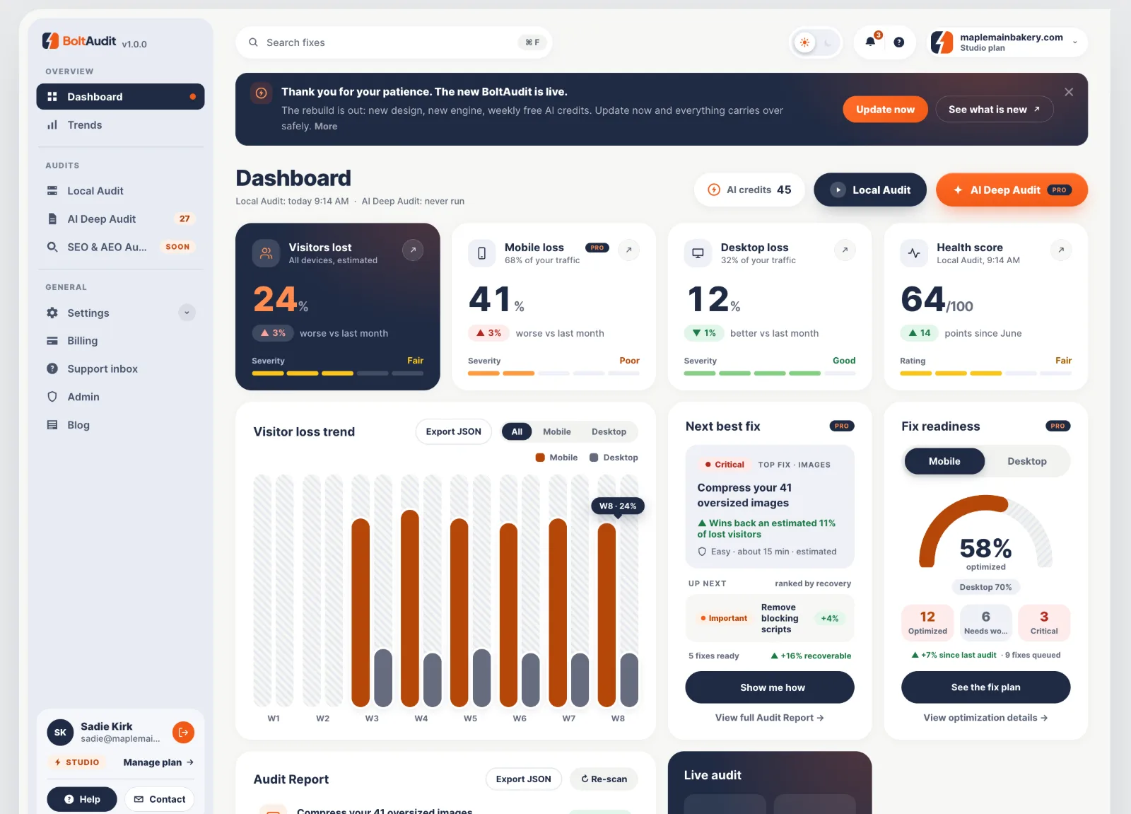 BoltAudit WordPress performance dashboard